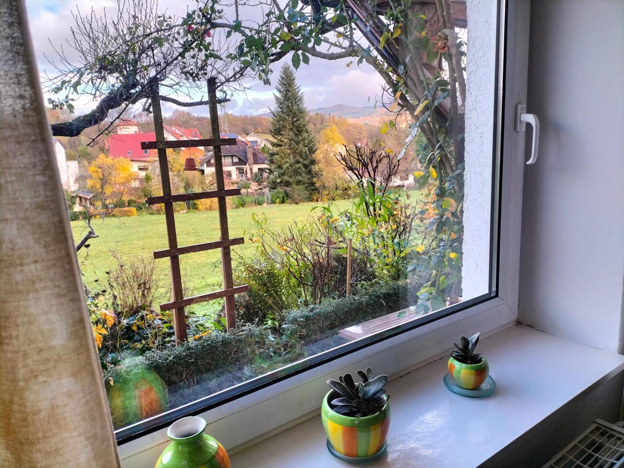 Pension Rosenblick Moerlenbach ภายนอก รูปภาพ